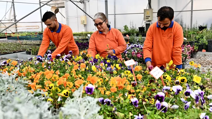 muratpaşa bitki üretim