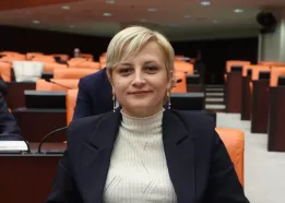 perihan koca