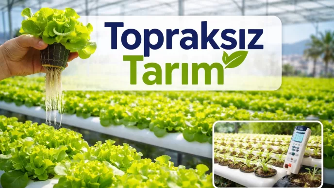 Topraksız tarım nedir Topraksız tarım nasıl yapılır Hidroponik sistem nedir Topraksız tarım maliyeti Dikey tarım nasıl yapılır