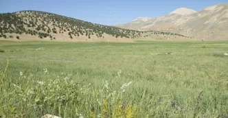 Söğle yaylası nerede