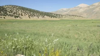 Söğle yaylası nerede