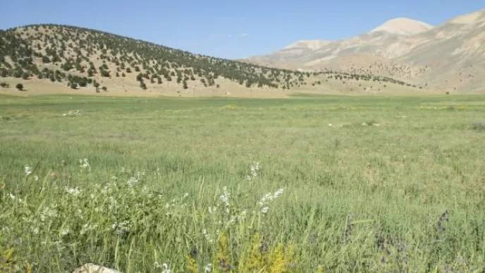 Söğle yaylası nerede