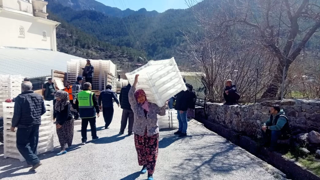 Alanya İpekböcekçiliği