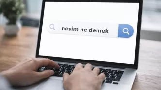 nesim ne demek