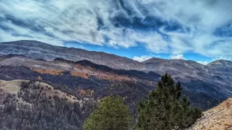 Çığlıkara ormanları nerede