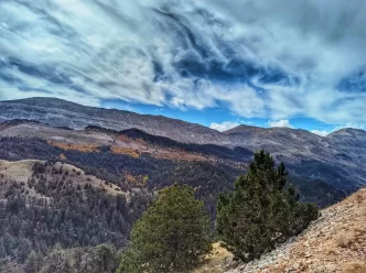 Çığlıkara ormanları nerede