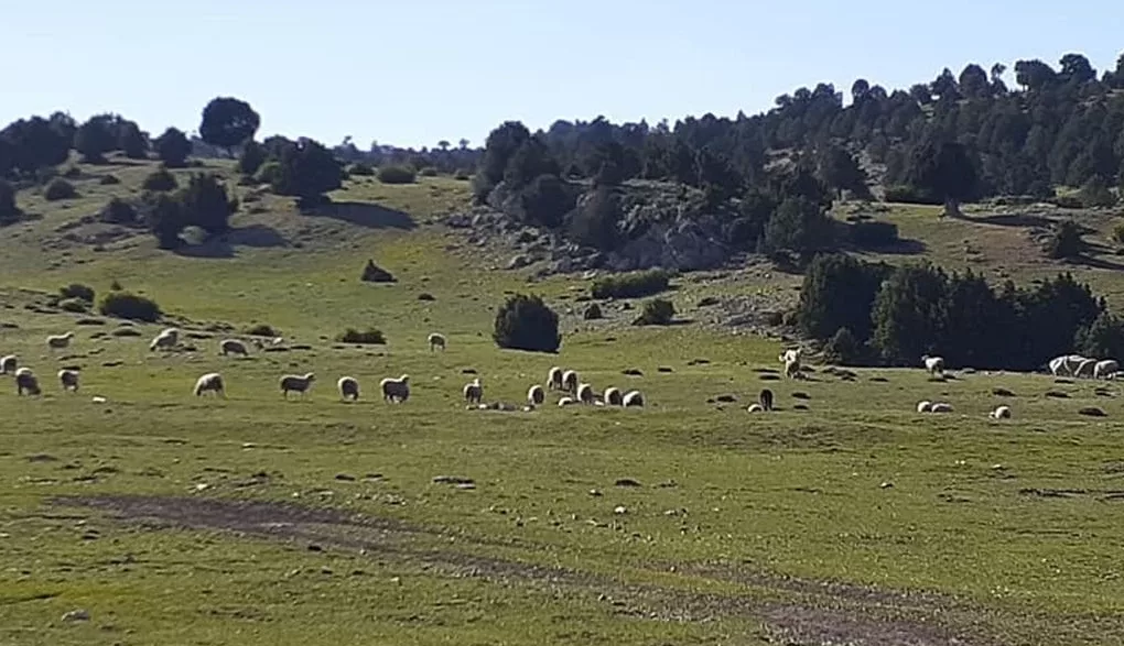 Dereköy yaylası nerede