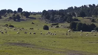 Dereköy yaylası nerede