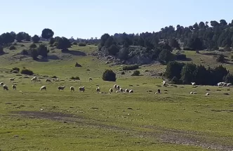 Dereköy yaylası nerede