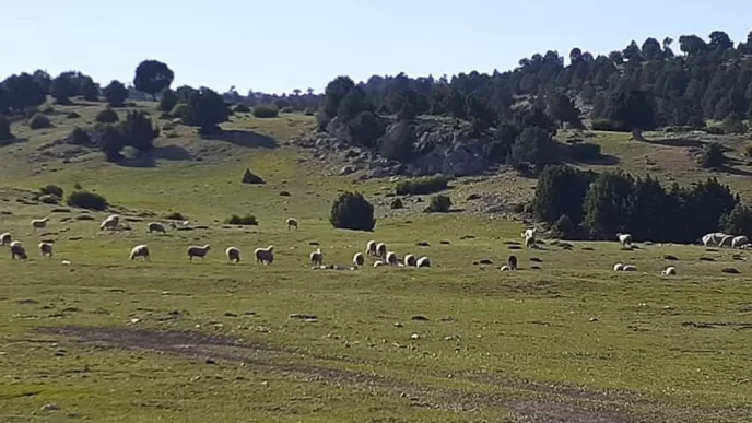 Dereköy yaylası nerede