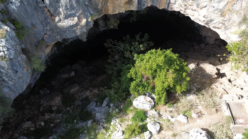 Antalya akdeniz foku