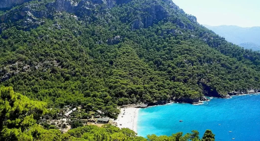 Kabak koyu nerede