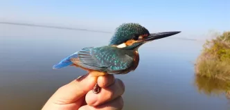 Milli parklar imza kampanyası