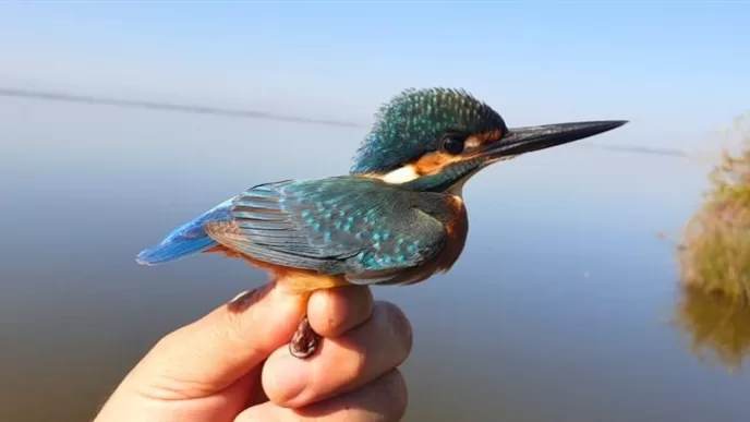 Milli parklar imza kampanyası