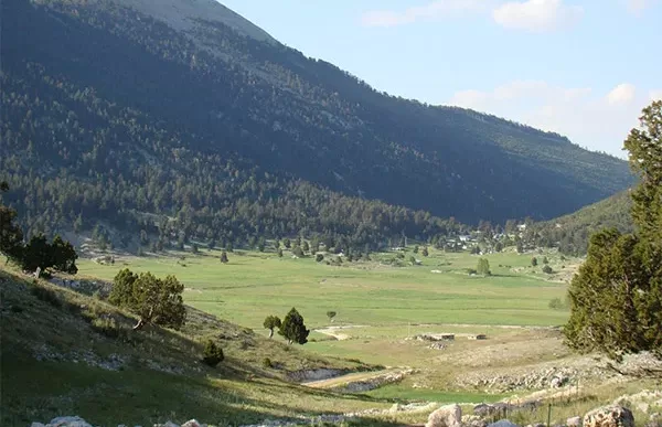 Ördübek yaylası nerede