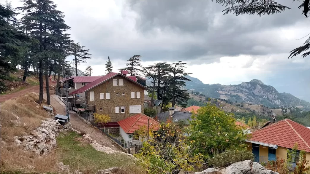 Söğütcuması yaylası nerede