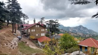 Söğütcuması yaylası nerede