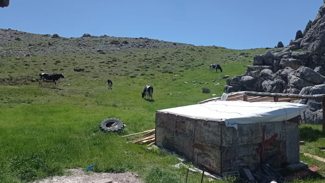 Sülek yaylası nerede