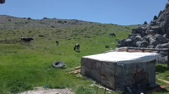 Sülek yaylası nerede