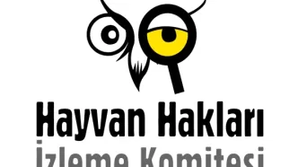 hakim sokak hayvanları açıklaması