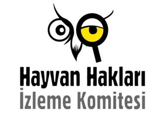 hakim sokak hayvanları açıklaması