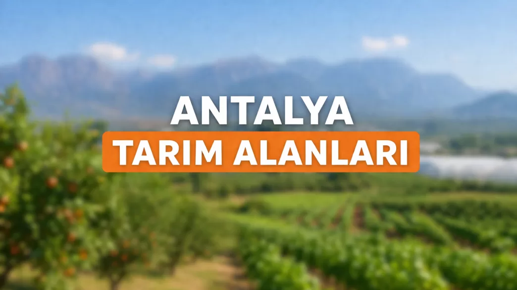 antalya tarım alanları