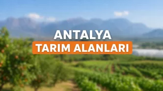 antalya tarım alanları