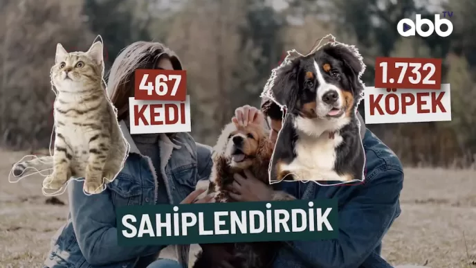 abb sokak hayvan rehabilitasyon merkezi