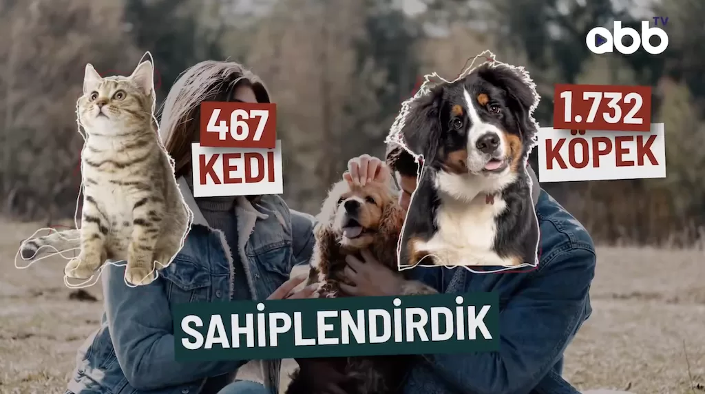 abb sokak hayvan rehabilitasyon merkezi