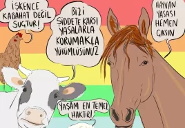 cşmd sokak hayvanları