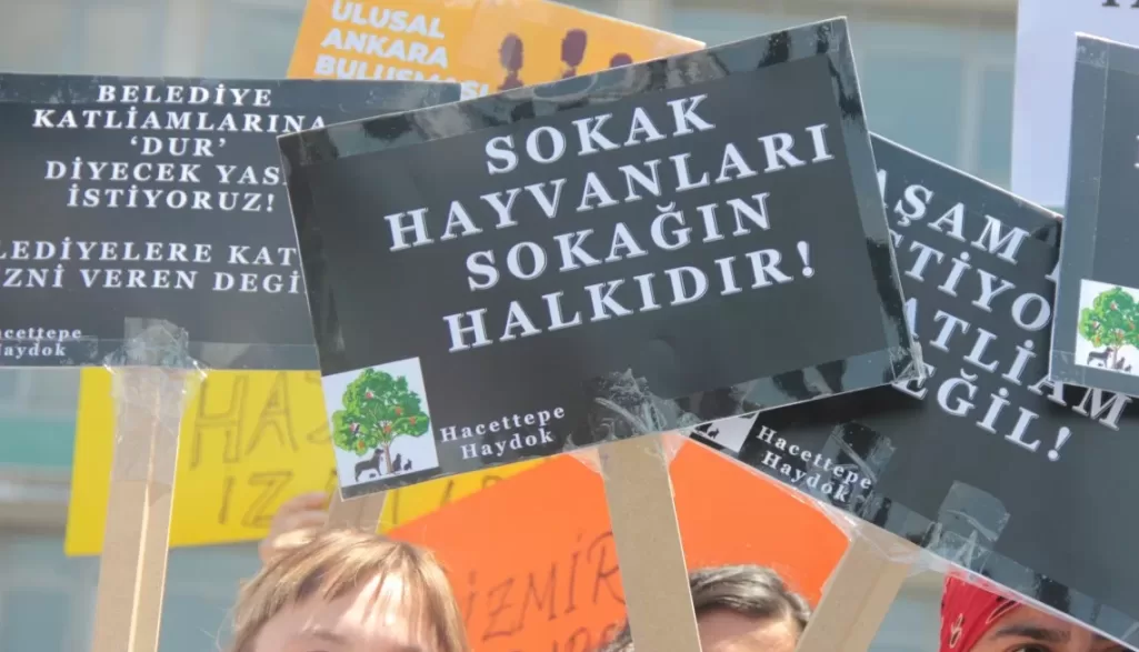 antalya barosu hayvan hakları rapor