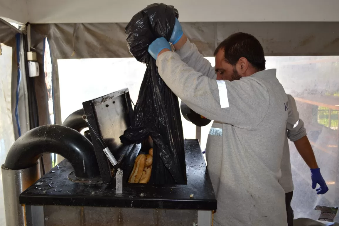 konyaaltı,antalya sokak hayvanları, konyaltı belediyesi, konyaaltı belediyesi sokak hayvanları