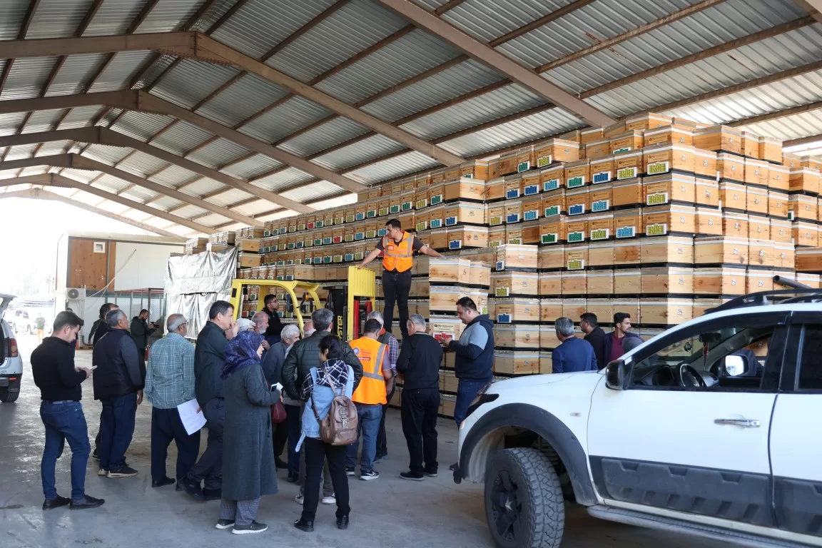 arı kovanı, antalya arı kovanı, antalya büyükşehir belediyesi destek