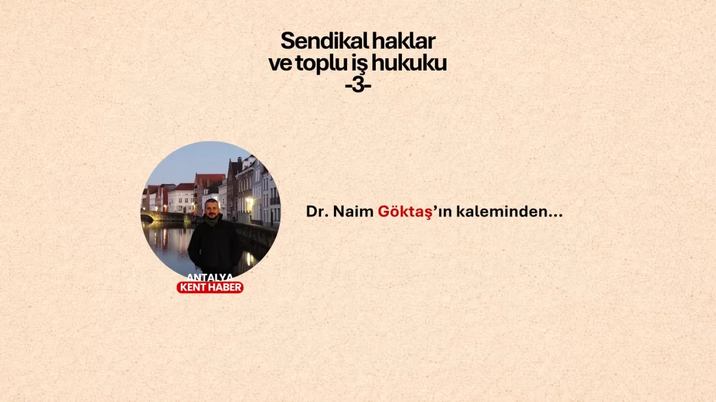 sendikal haklar, naim göktaş, 6356 sayılı Yasa