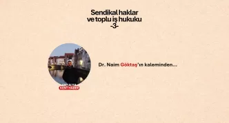 sendikal haklar, naim göktaş, 6356 sayılı Yasa