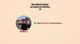 sendikal haklar, naim göktaş, 6356 sayılı Yasa
