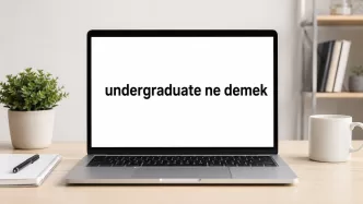 undergraduate ne demek