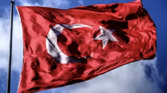 türkiye elektrikli otomobil piyasası