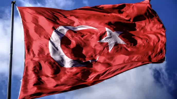 türkiye elektrikli otomobil piyasası