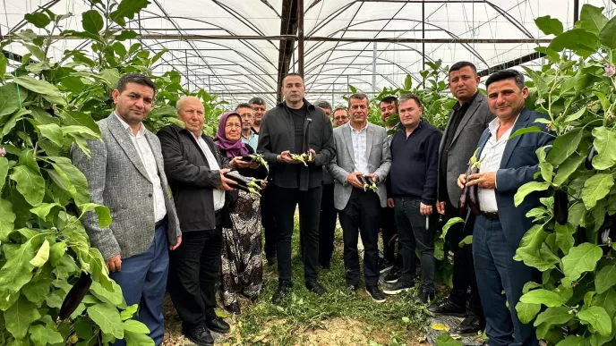 aykut kaya aksu murtuna mahallesi patlıcan üreticisi antalya tarımı sera maliyetleri
