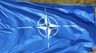 nato zirvesi ne zaman