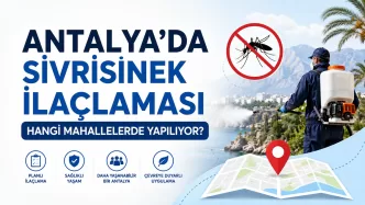 antalya sivrisinek ilaçlama mahalleleri