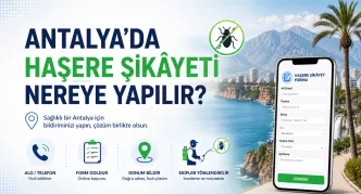 antalya haşere şikâyeti
