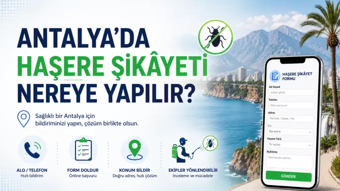 antalya haşere şikâyeti