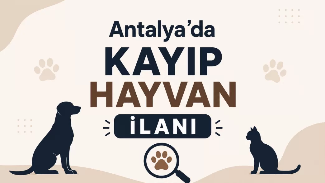 Antalya kayıp hayvan ilanı