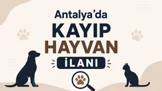 Antalya kayıp hayvan ilanı