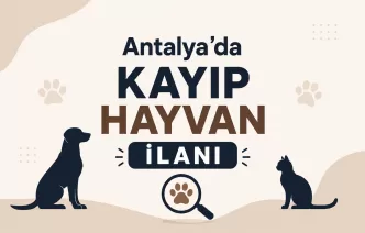 Antalya kayıp hayvan ilanı
