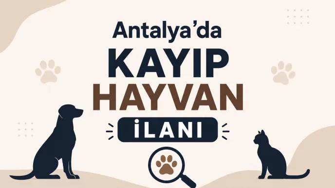 Antalya kayıp hayvan ilanı
