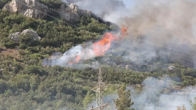 tip antalya, antalya orman yangınları, kumluca yangını, kemer yangını, afet politikası