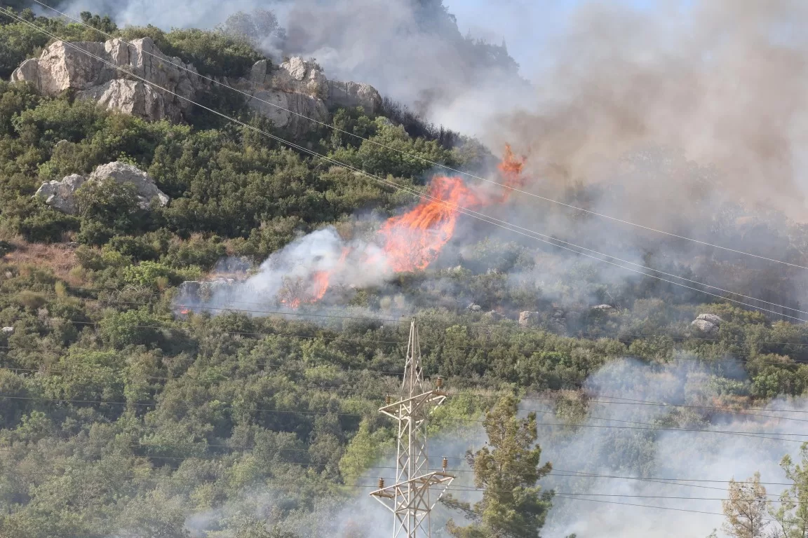 antalya orman yangınları, kumluca yangını, kaş üzümlü yangını, alanya sapadere yangını, antalya büyükşehir yangın